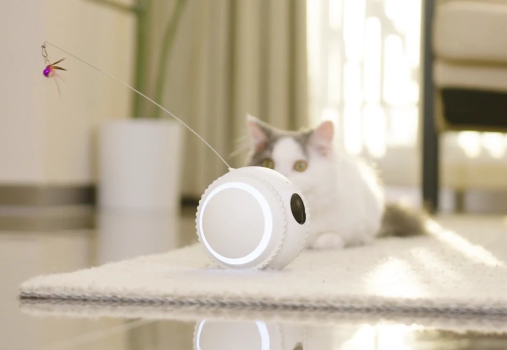 best pet surveillance camera