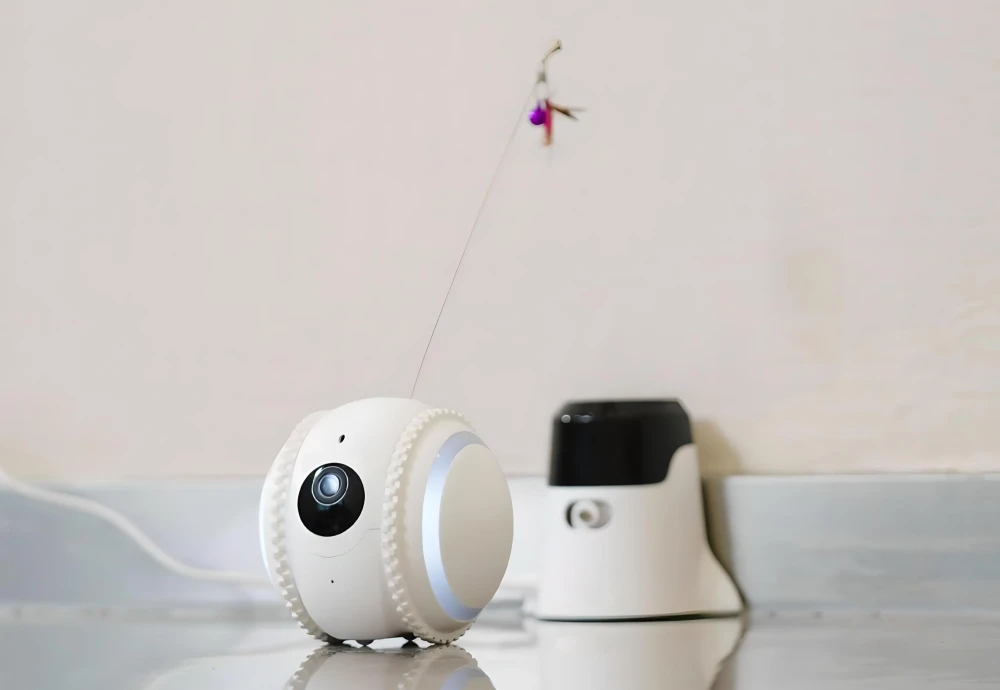 best at home pet camera