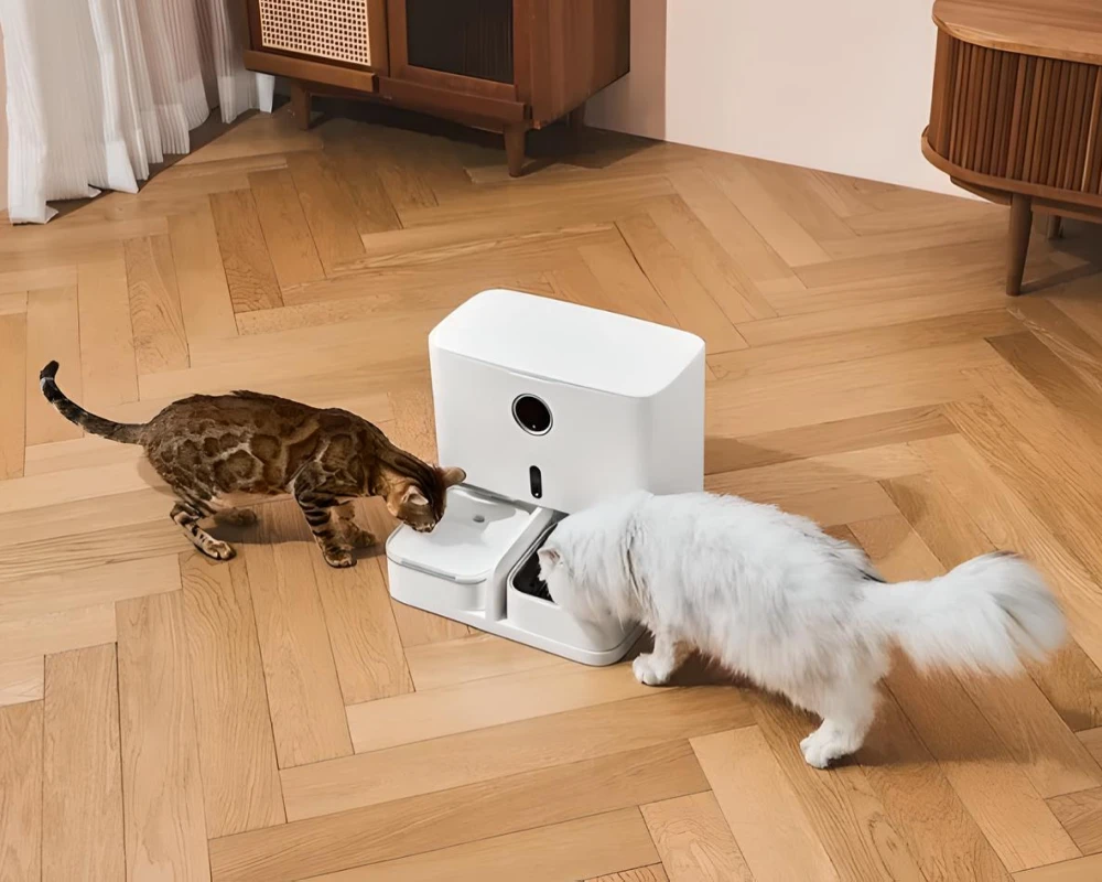 animal planet automatic pet feeder